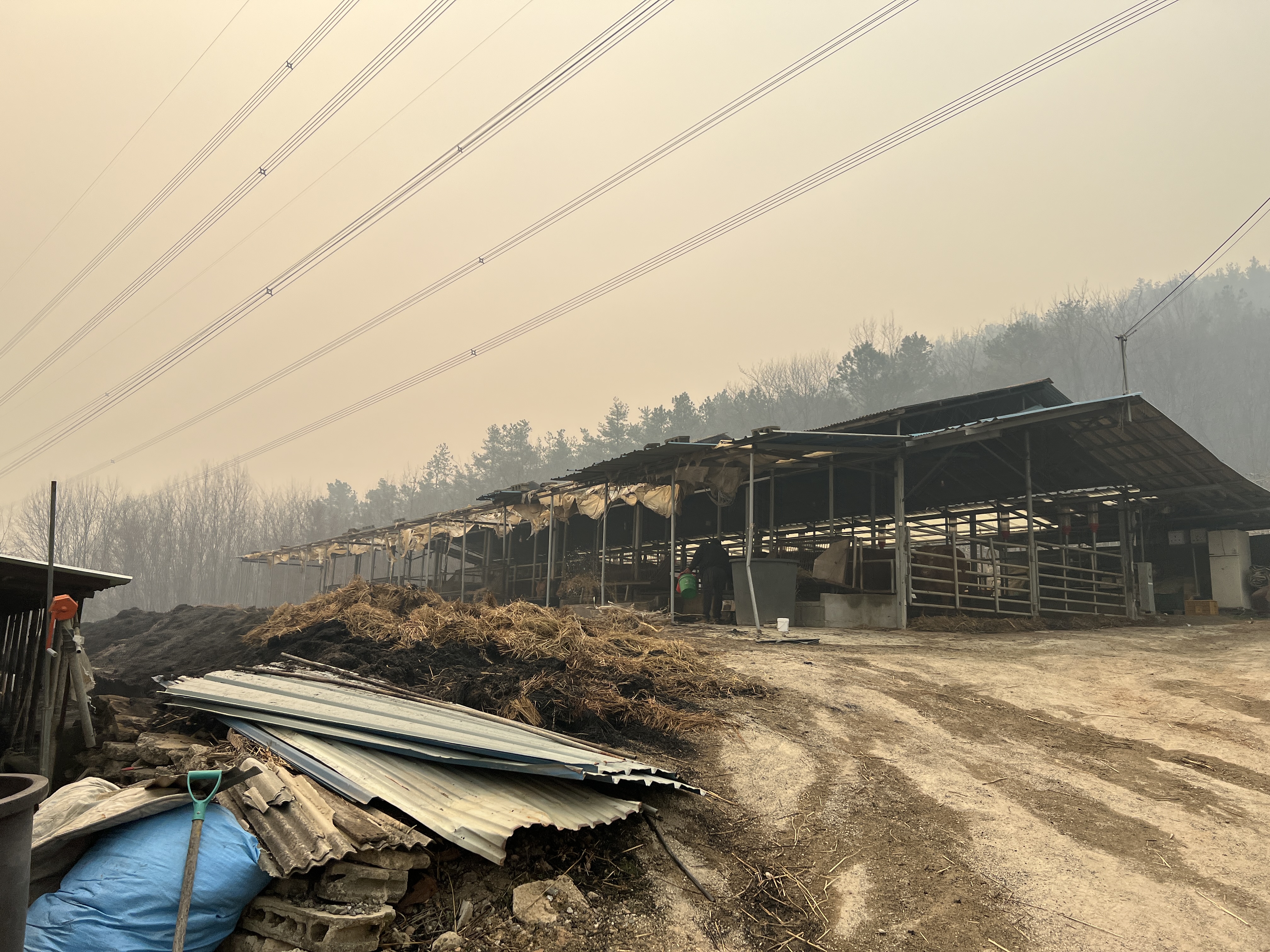 산불 후 복구 작업 현장